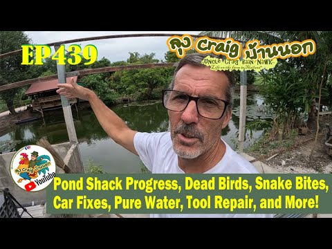 EP439 Pond Shack Progress, Dead Birds, Snake Bites, Car Fixes, Pure Water, Tool Repair, and More!