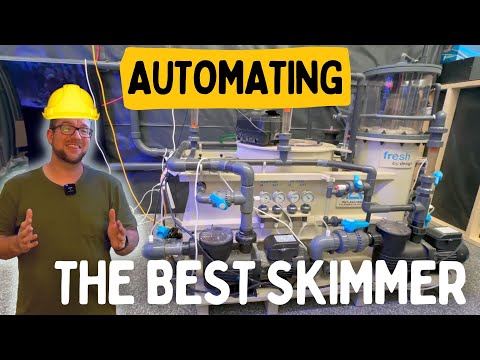 Automating a HUGE Protein Skimmer!!