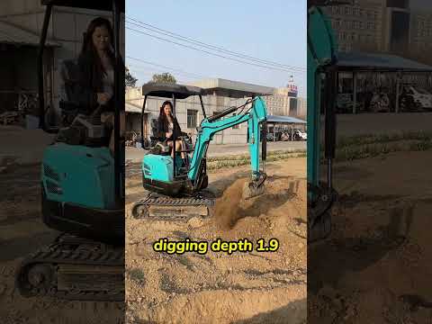 Compact Power for Home and Farm: Dig-Boy Mini Excavator Delivers!#miniexcavator