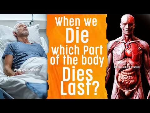 When we die, which part of the body dies last? What happens to our body after death | Health Fitness