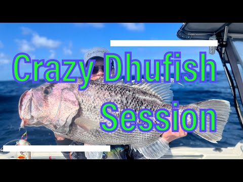 Crazy Dhufish Session at the Dhu Supermarket