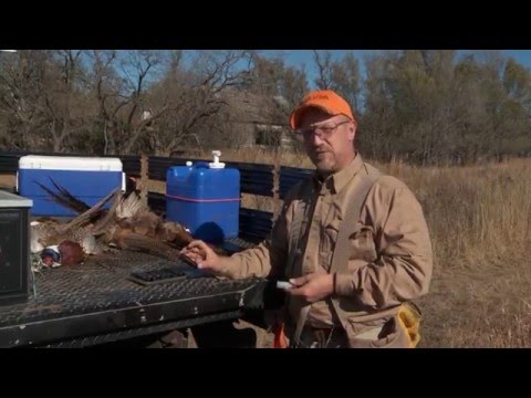 Chokes and Shells for Pheasants -- Safe Shooting & Hunting Tips with Dave Miller