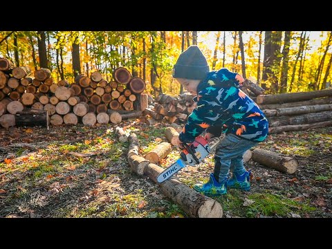 His First Chainsaw - Cams first Stihl chainsaw toy