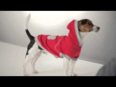 Strike-A-Paws 2014 - Wag-A-Tude Red Raglan With Grey Bone Hoodie