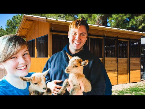 Our BARN is suddenly filled with BABY GOATS! (and we're in LOVE!)