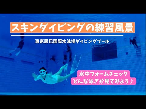 国際大会用のダイビングプール（水深５ｍ）で往復５０ｍ潜水を目指す！？OSCスキンダイビング講習会（応用実践編）の練習風景 in 東京辰巳国際水泳場