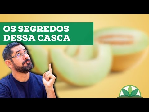 A casca do melão, pode te ajudar a tratar hipotireoidismo