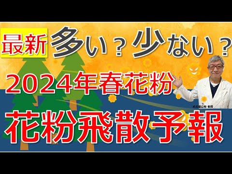 2024年春の花粉は多い？少ない？最新花粉飛散予想とは？大久保公裕先生がやさしく解説