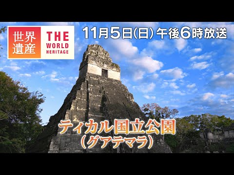 【TBS世界遺産】発見つづく！マヤ文明最大級の都市～ティカル国立公園（グアテマラ）【11月5日午後6時放送】