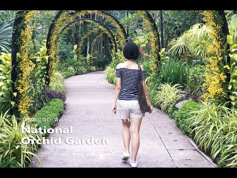 National Orchid Garden at Singapore Botanic Gardens 新加坡世界文化遗产 -  国家胡姬园