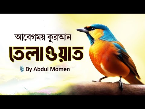 মনমুগ্ধকর কোরআন তেলাওয়াত! #qurantilawat #quranrecitation #تلاوةالقرآن #কুরান_তেলাওয়াত