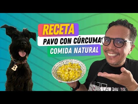 🐕🥘 Receta de comida natural para perros 🐶 PERRHIJOS 🦃 Pavo o pollo con cúrcuma🐩🍛 Quedó riquísima.