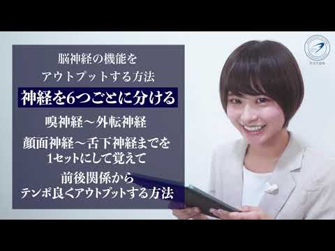 医学生が最初につまづく脳神経の極論について