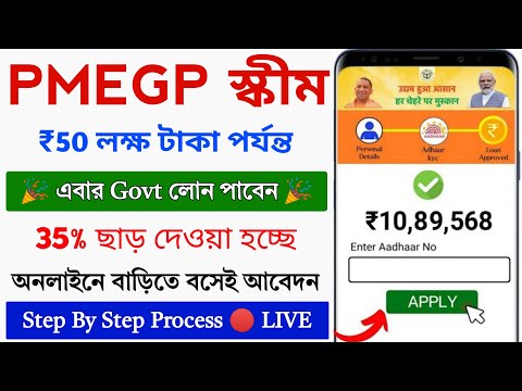 PMEGP Govt Online Apply New Process 2025 || Government Subsidy loan for business || Pm Loan Apply