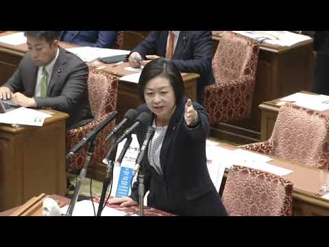 櫛渕万里　2023年11月15日　衆議院・内閣委員会