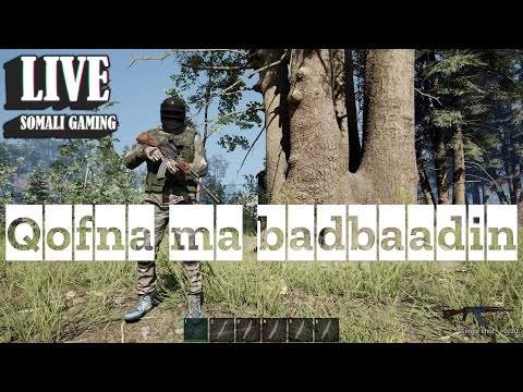 QOFNA MA BADBAADIN | NO ONE SURVIVED |DADKII OO DHAN HOROR | SOMALI GAMING