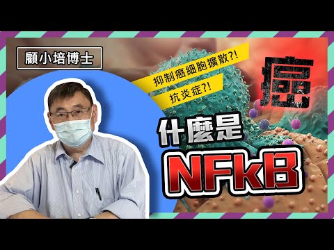 【癌症系列EP03】NFKB | 顧小培博士分享NFkB與癌症的關係，可抑制癌擴散