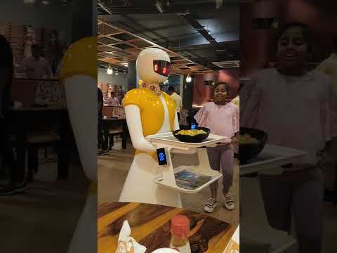 robot restaurant in yellow  chilly ........