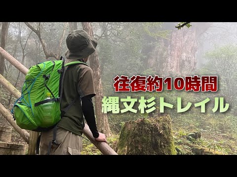 【屋久島旅行】縄文杉を目指して往復約10時間のトレッキング/ vlog