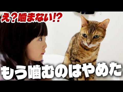 もう無暗に噛みつくのはやめた穏やか猫と、そんな兄猫が愛しくてほおずりしちゃう5歳娘