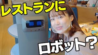 これからどんどん増えていく⁉︎ 未来型レストランで大活躍中のロボットが可愛すぎる…🤖💓