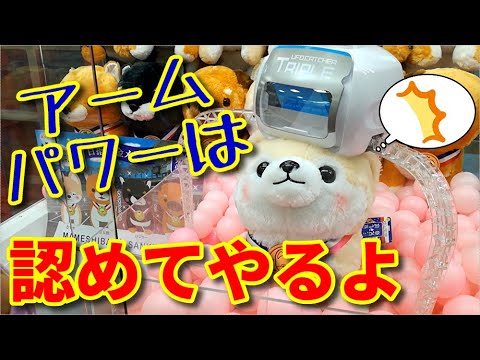 【あと一歩？】アームパワー強し！？シールド乗せに成功！ここからは持ち上げるだけ！【UFOキャッチャー】【クレーンゲーム】【豆しば三兄弟】(Japanese claw machine)