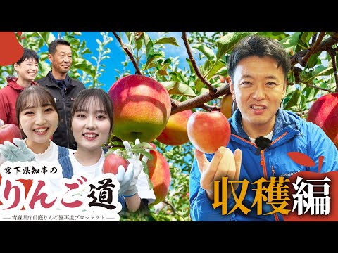 #65 【りんご娘参戦】遂に収穫！そのお味は？～宮下県知事のりんご道～ 青森県知事 宮下宗一郎