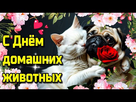 😺🐰🐶30 ноября Всемирный день домашних животных💗Красивая музыкальная  открытка