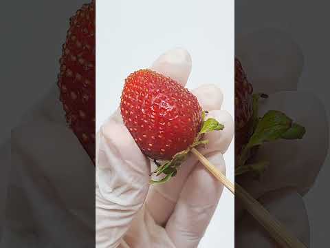 Viral Chocolate Strawberry sticks | Strawberry Nutella #shorts #shortsviral #strawberry #viralshorts