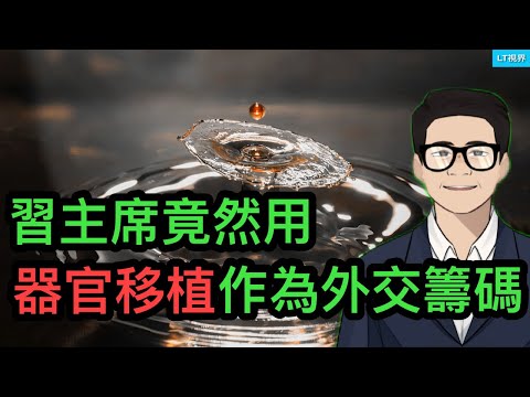 為何戴晴講六四“真相”激怒了一眾當年學生領袖？習主席竟然用器官移植作為外交籌碼；物理碩士終於“脫下了孔乙己長衫”。