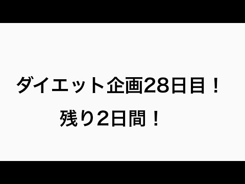 【ダイエット】ダイエット企画28日目!#28