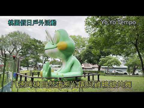 到桃園八德埤塘自然生態公園與雞鴨鵝共舞