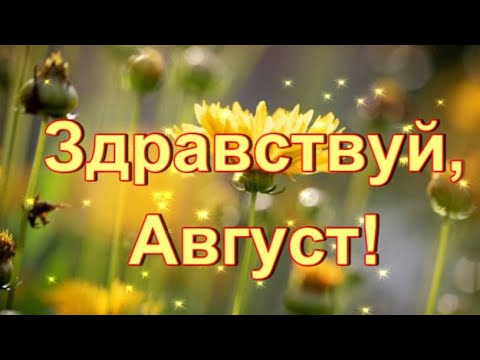 Здравствуй, Август! Яркого Августа! С Последним Месяцем Лета!