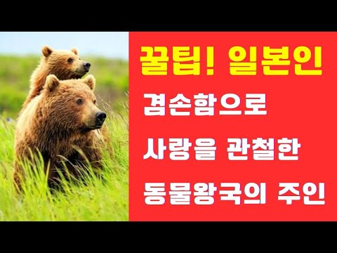 겸손함으로 사랑을 관철한 동물왕국의 주인(꿀팁! 일본인)