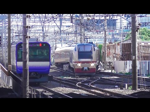 【横須賀線】特急 鎌倉 E653系K70編成　横浜での転線　2024.5.5