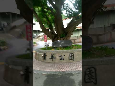 新莊青年公園，台員第一山 雙鳳朝牡丹