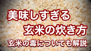 玄米を研いですぐ極ウマに炊くたった一つのコツと玄米毒?の正体を管理栄養士が解説