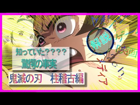 鬼滅の刃　柱稽古編　解説/これを見れば100倍稽古の理由がわかる