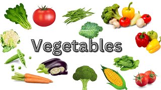 Vegetables Names In English| English Speech First Word for Toddlers | Vegetables Vocabulary|