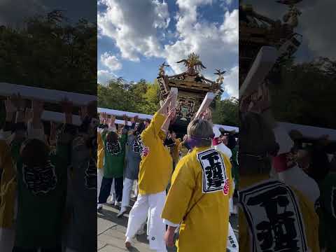 400年の歴史！「暴れ神輿」が宙を舞う【第二十二回大江戸神輿まつりIN木場公園】【吉川八坂青年会】