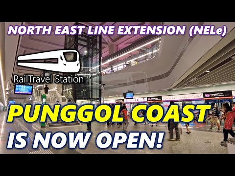 FIRST TRAIN FROM PUNGGOL COAST MRT STATION! 🇸🇬🚆 SBS Transit North East Line Punggol Coast→Punggol