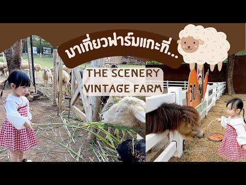 น้องดาริน | มาเที่ยว The Scenery Vintage Farm สวนผึ้ง ราชบุรี