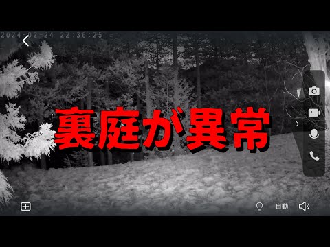 【緊急LIVE】裏庭が異常