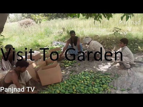 Visit To Garden