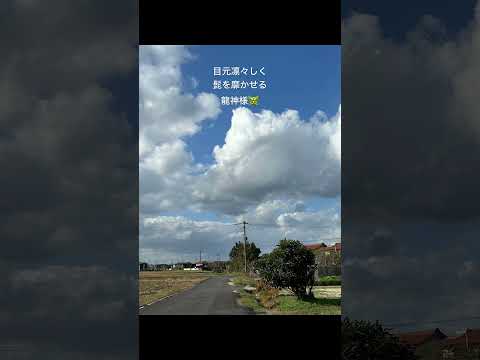 とても良いお顔でした🐲🐉#shortvideo #sky #shorts #short #龍神様 #龍雲