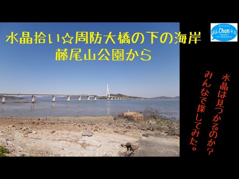 水晶拾い☆周防大橋の下の海岸 藤尾山公園から歩いて