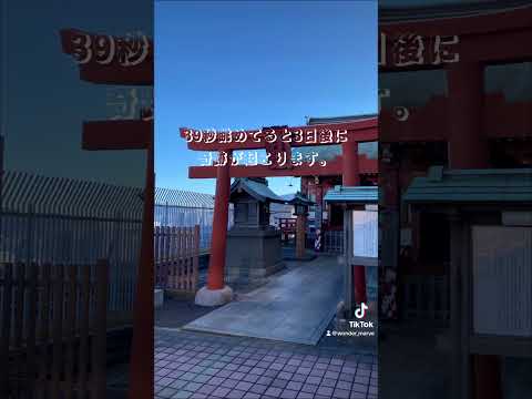 ⛩️39秒眺めてると3日後に奇跡が起こります。