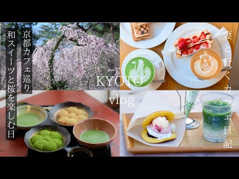 [Kyoto Vlog] First cherry blossoms in full bloom this year/Kyoto cafe with queue/Kyoto trip