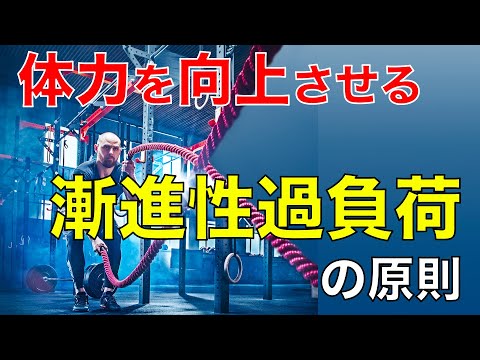 【超重要】トレーニングの原則