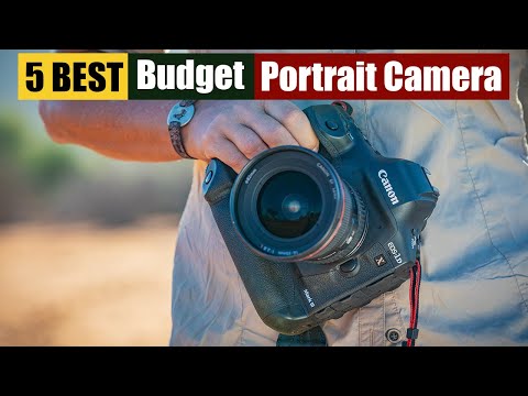 Best Budget Portrait Cameras of 2024